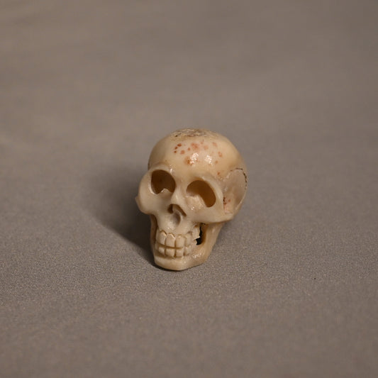 Antler Skulls Pendant/Bead