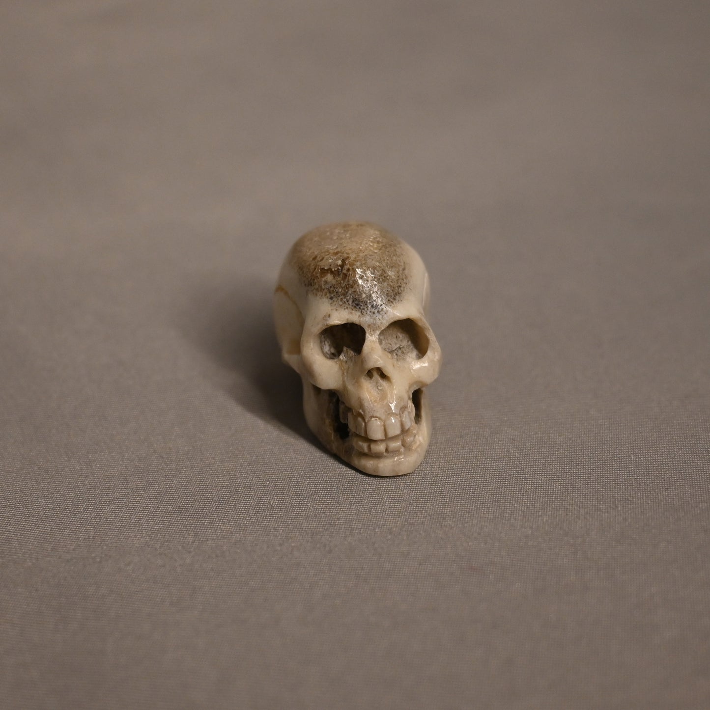 Antler Skulls Pendant/Bead