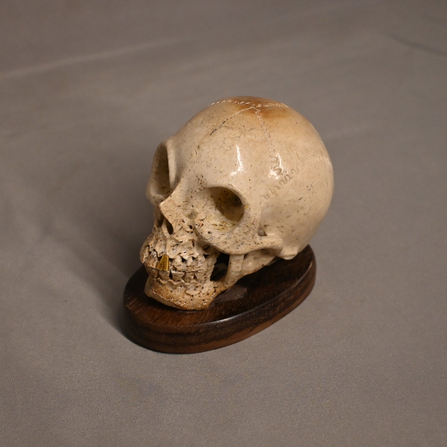 Bone Carved Skull with Gold Tooth