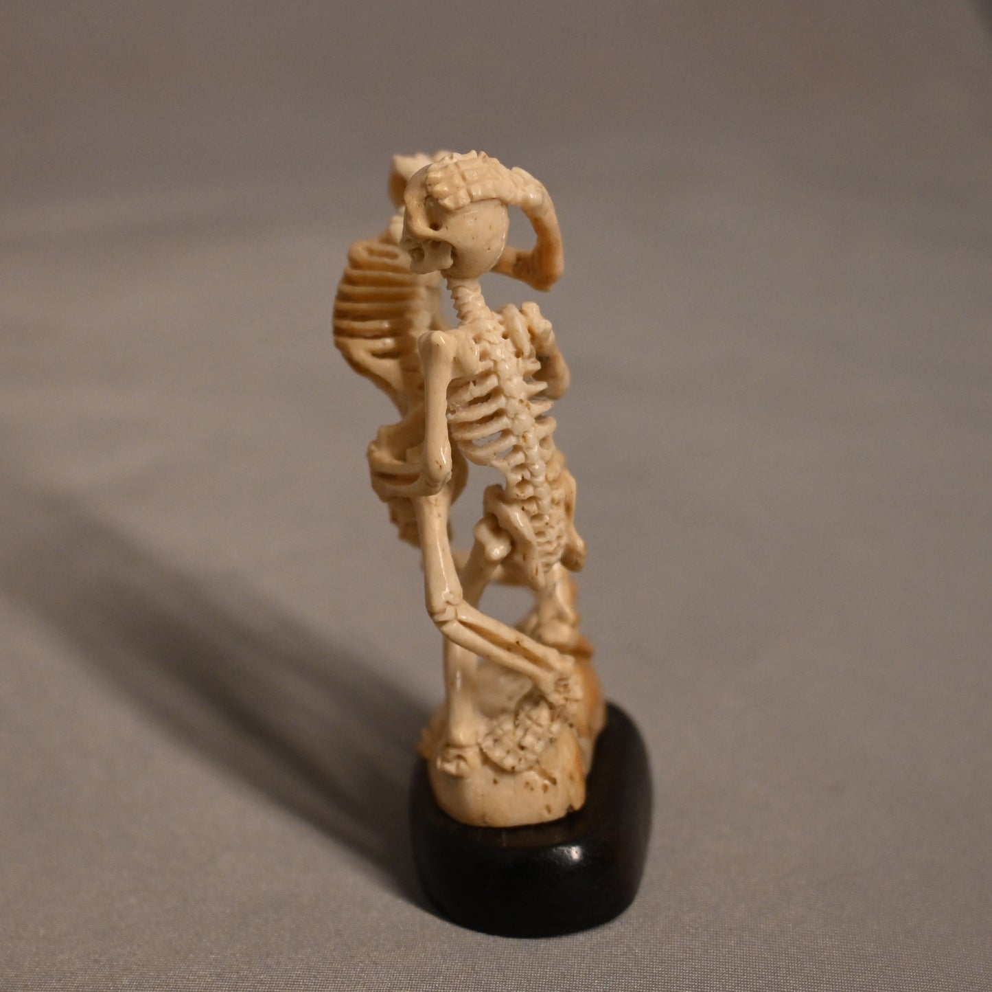 Skeletons Boning