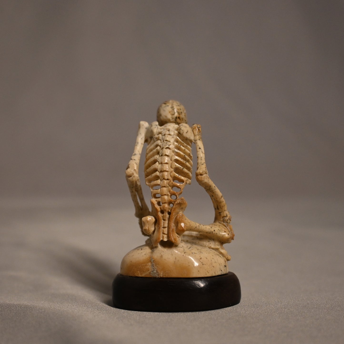 Bone Carved Skeleton Sitting