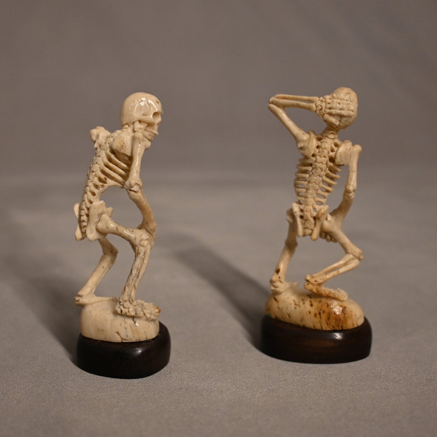 Carved Bone Skeletons Shocked