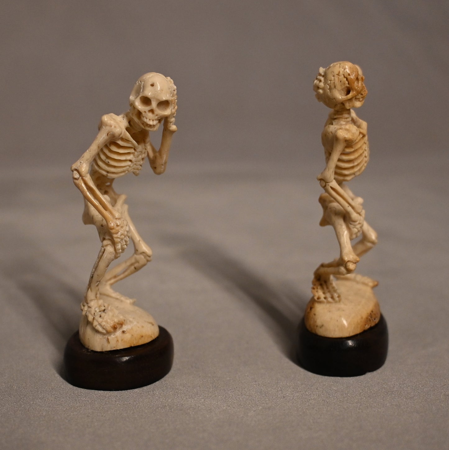 Carved Bone Skeletons Shocked