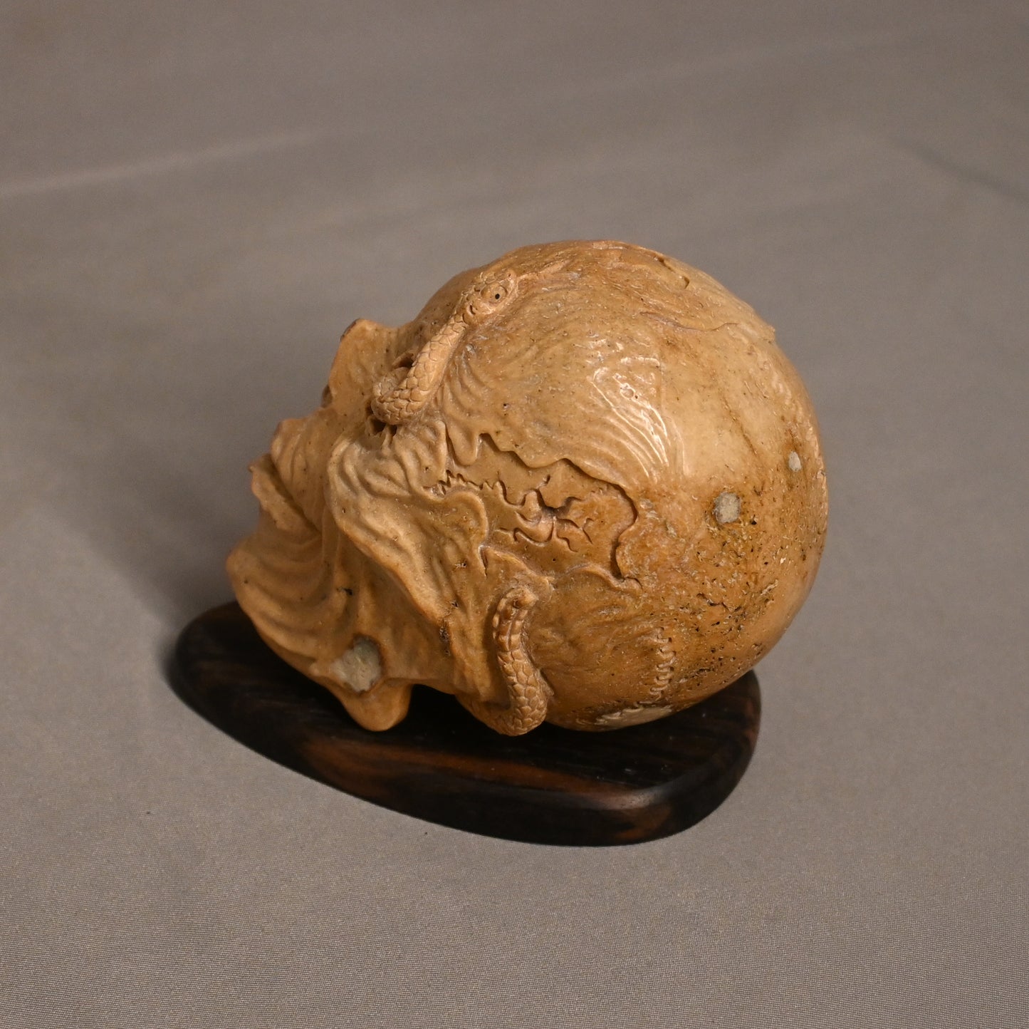 Bone Carved Skull with Snake