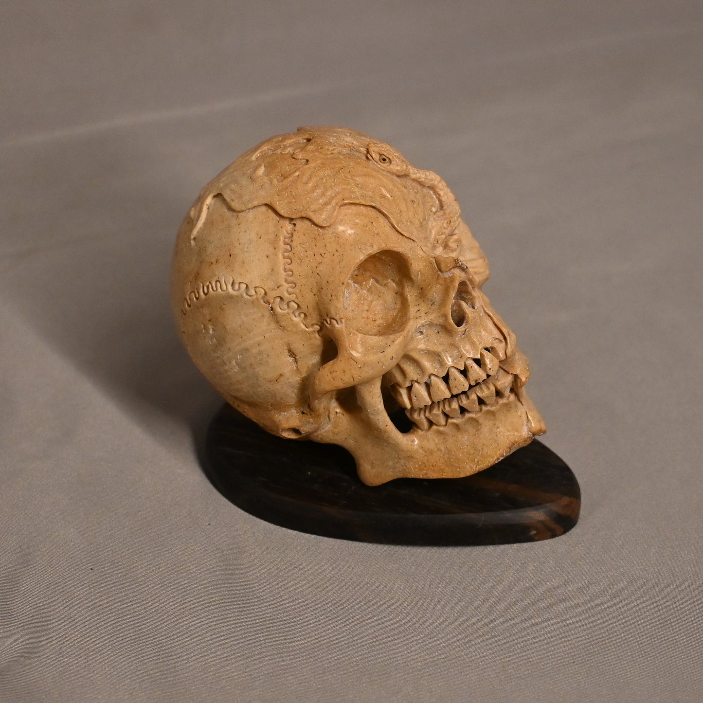 Bone Carved Skull with Snake