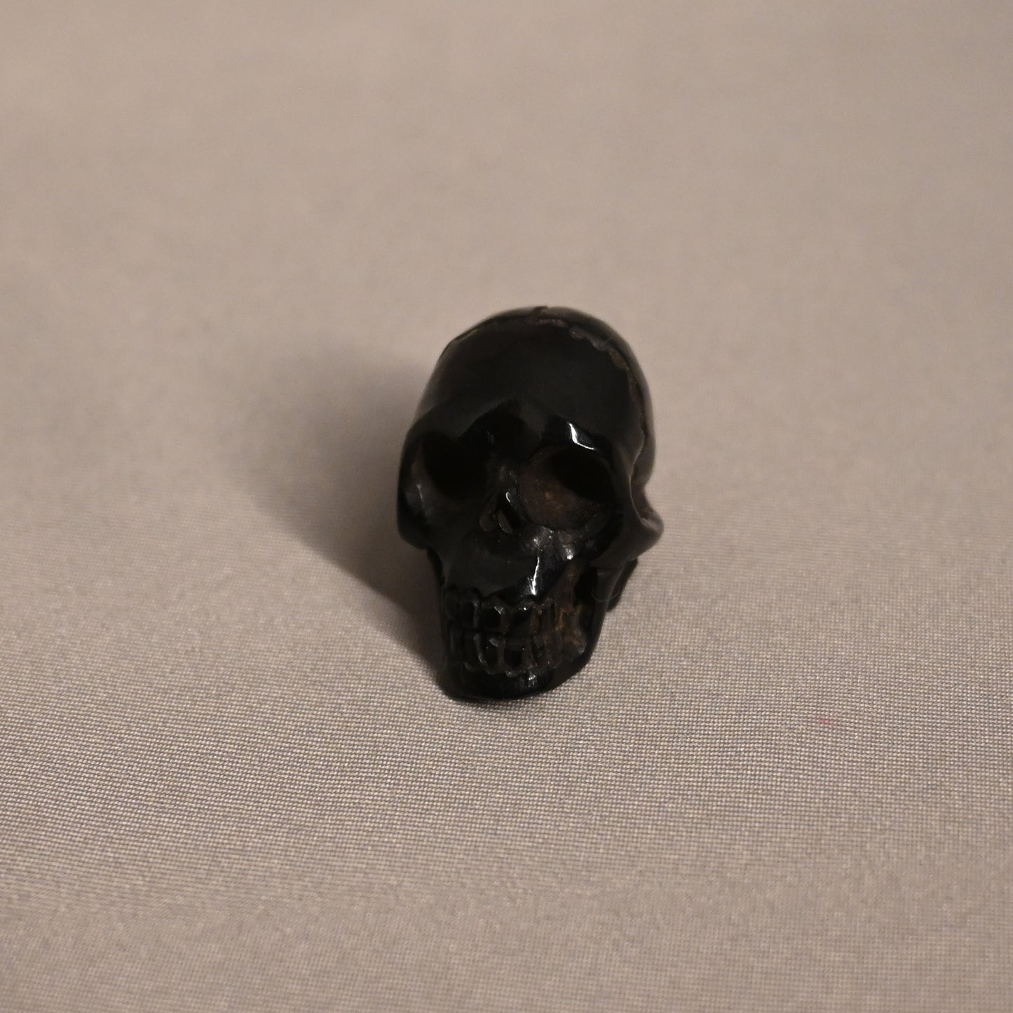 Water Buffalo Horn Skull