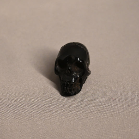 Water Buffalo Horn Skull
