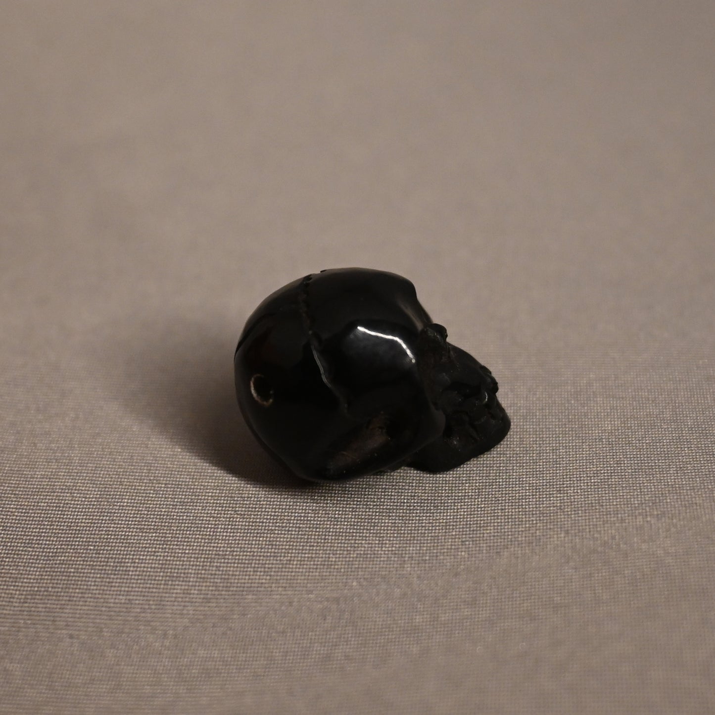 Water Buffalo Horn Skull