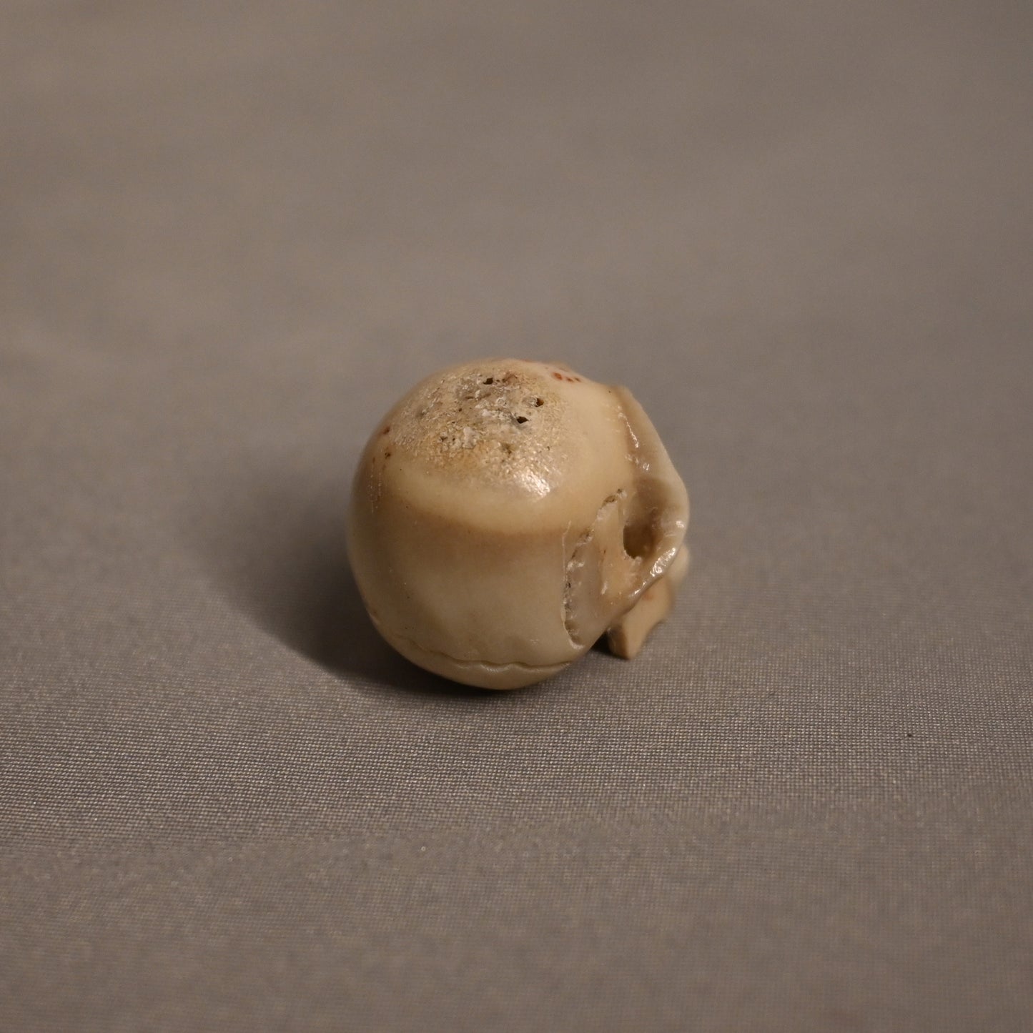 Antler Skulls Pendant/Bead