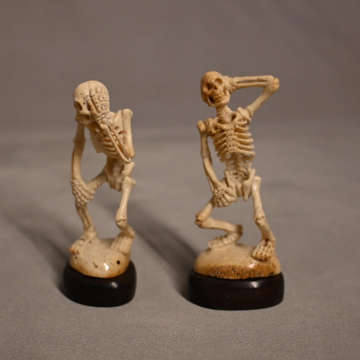 Carved Bone Skeletons Shocked