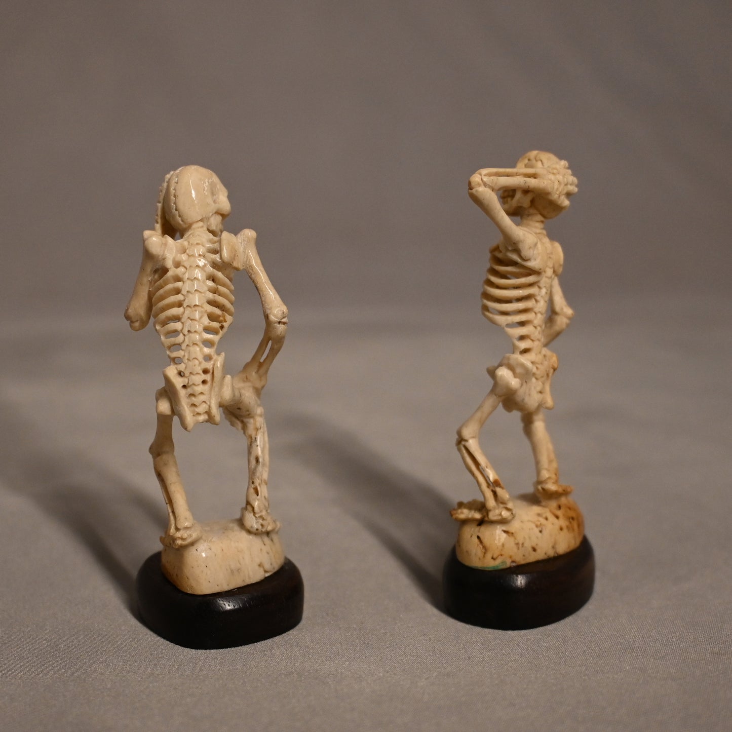 Carved Bone Skeletons Shocked